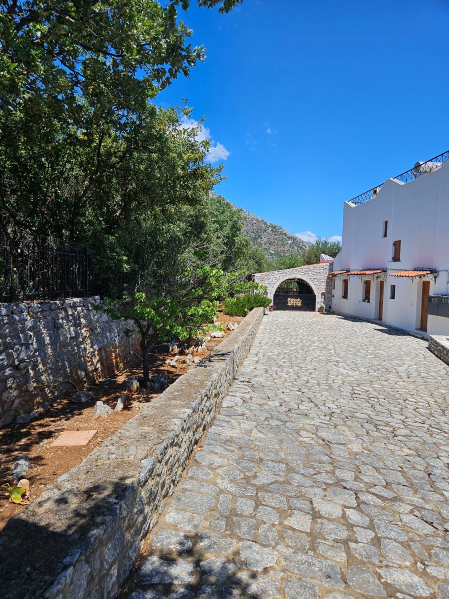Vasiliki